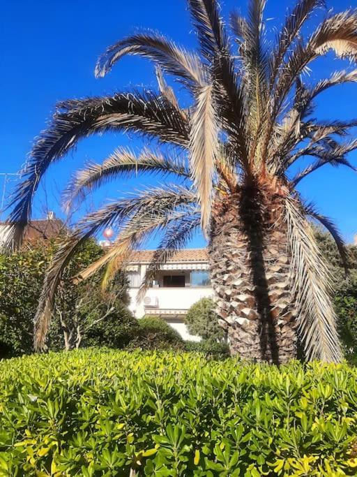 à * Fréjus